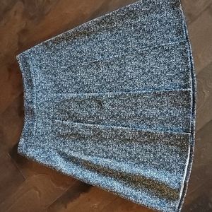 The Limited A-Line Skirt Sz 6